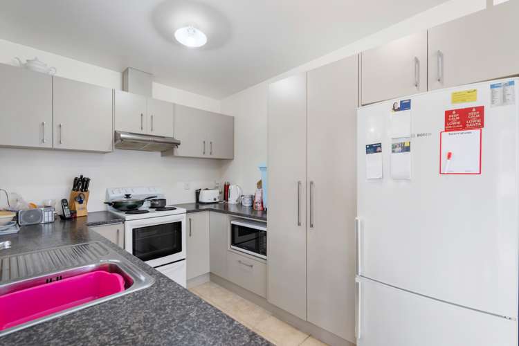 2 Glucina Place Glen Eden_7