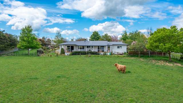 6 Rose Street Waipawa_3