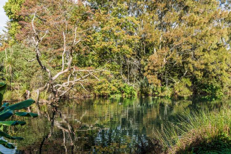 14 Lochview Pukekohe_18