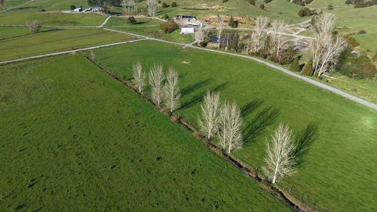 95 Masons Road Maromaku_1