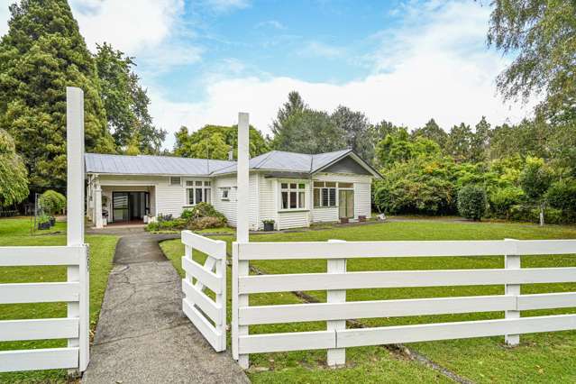 4883 State Highway 2 Putorino_4