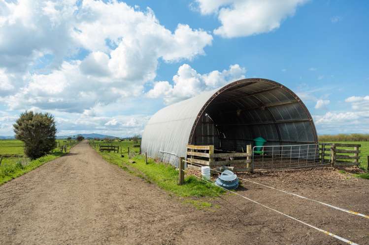 1001 Piako Road Gordonton_17