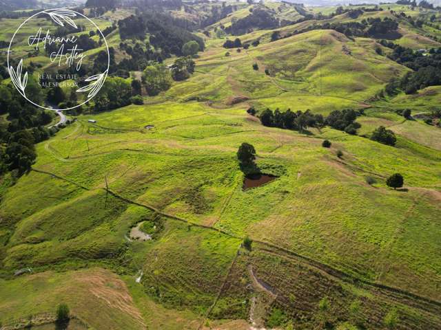 118 Paparoa Station Road Paparoa_1