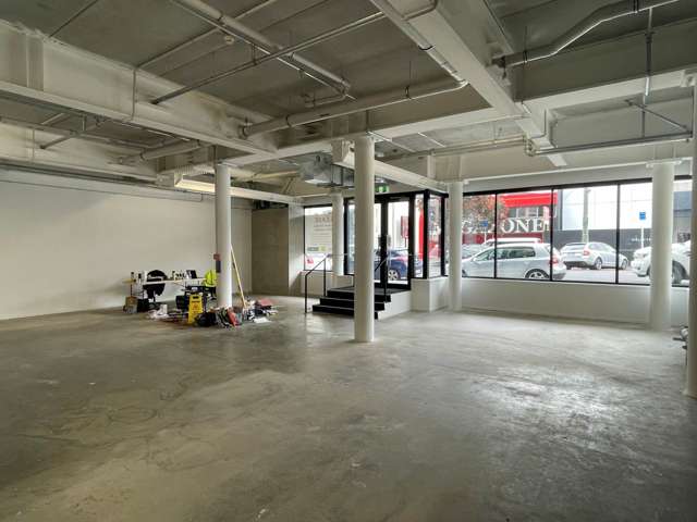 8 Rose Road Grey Lynn_4