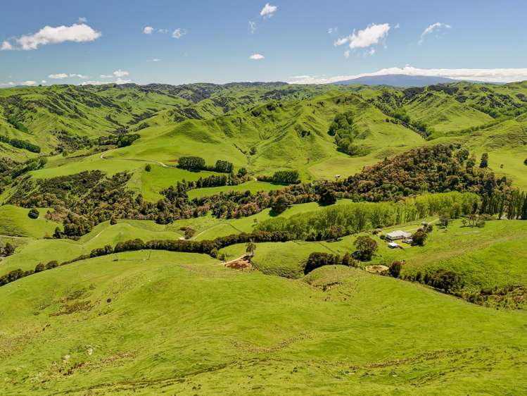 34 O’Neills Road Kakatahi_24