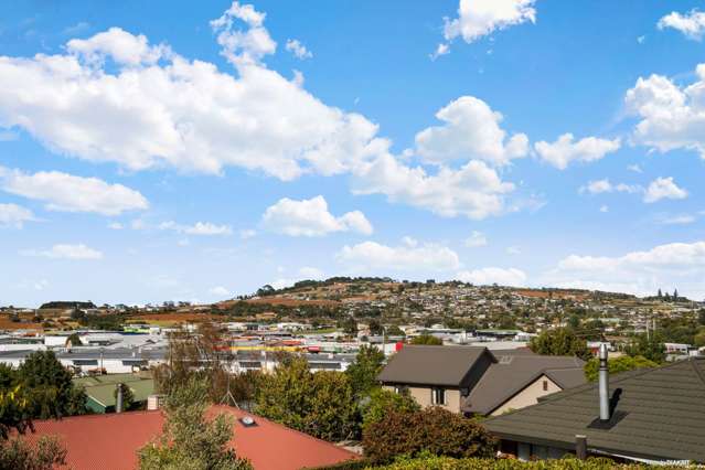 15 Birch Road Pukekohe_2