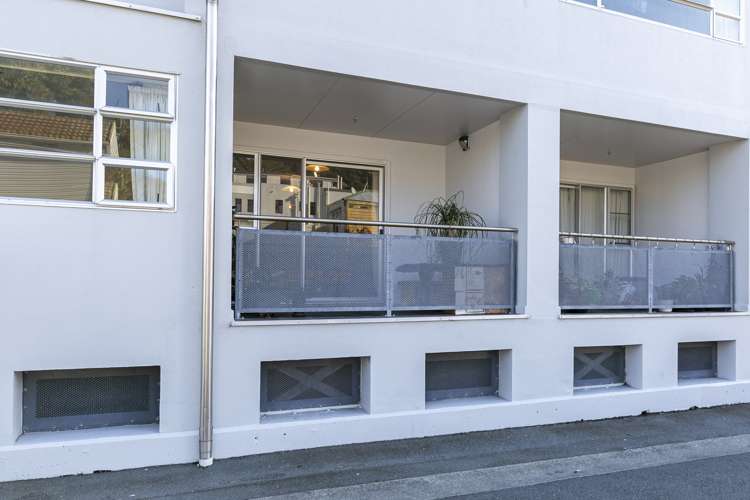 3/6 Elizabeth Street Mount Victoria_8