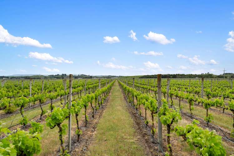 49 Gimblett Road Roys Hill_26