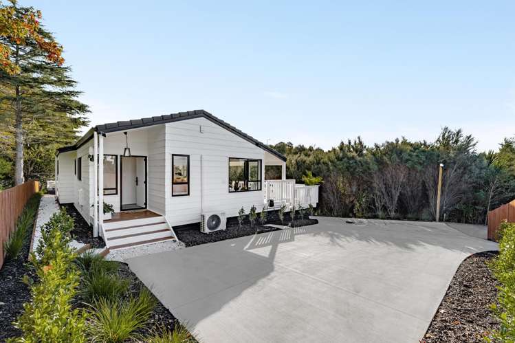 75a Birdwood Road Swanson_18