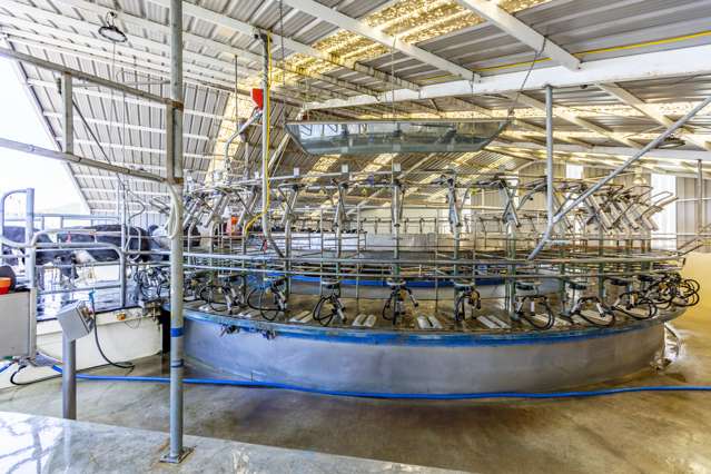 236 Tower Street Ormondville_3