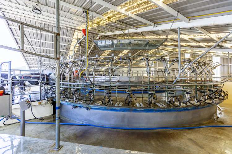 236 Tower Street Ormondville_3