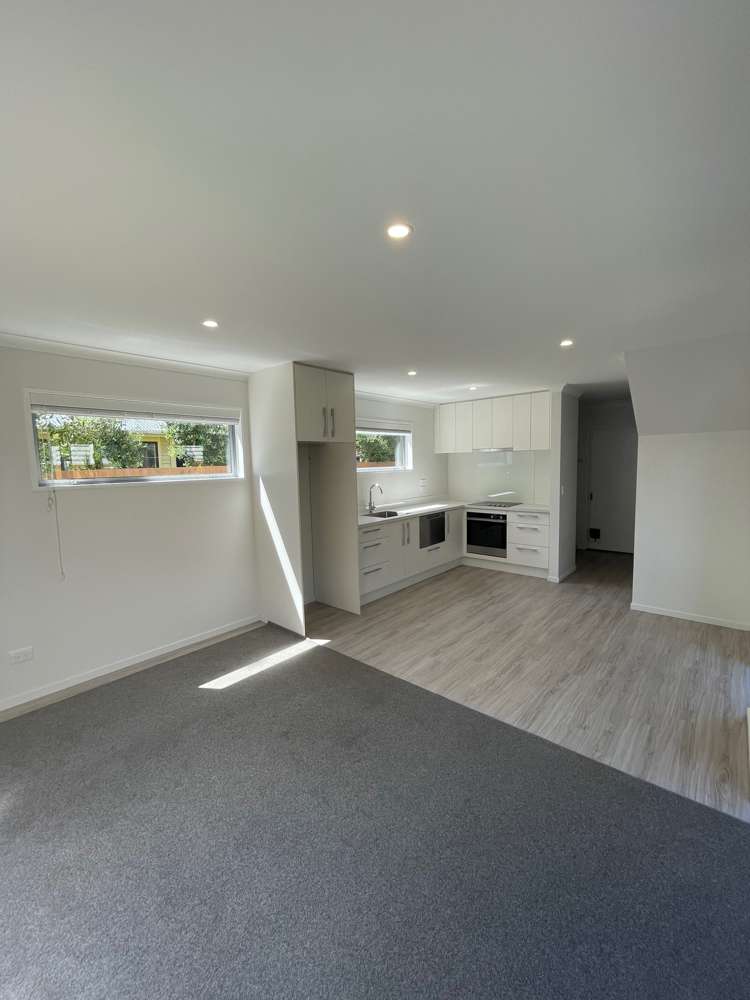 104a Hastings Street West Sydenham_3