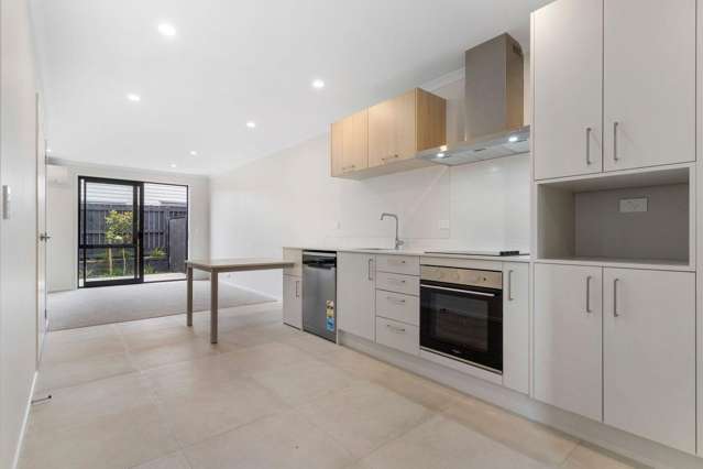 3/492C Richardson Road Mount Roskill_2