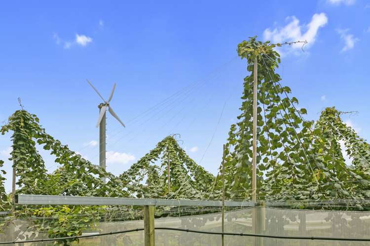 263 Waihi Beach Road Waihi_6