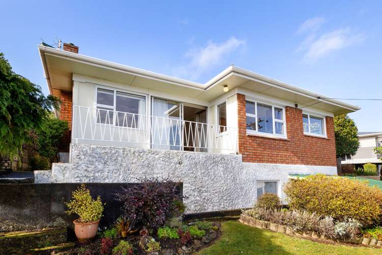 44 Essex Street Vogeltown_1