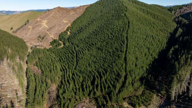 Motueka Valley Highway - Rabbit Gully Motueka Valley_2