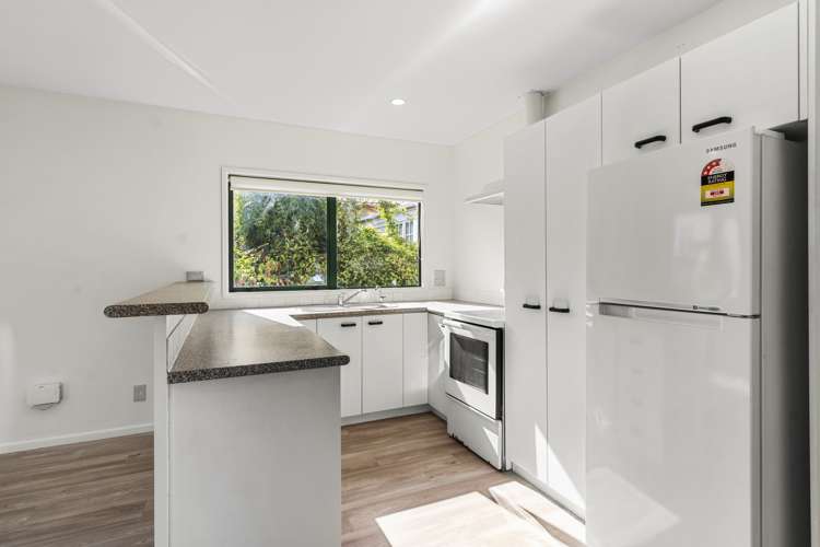 2b Curzon Street Onehunga_3