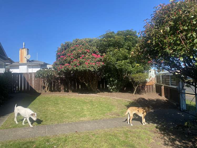 36 Kaka Crescent Tokoroa_6