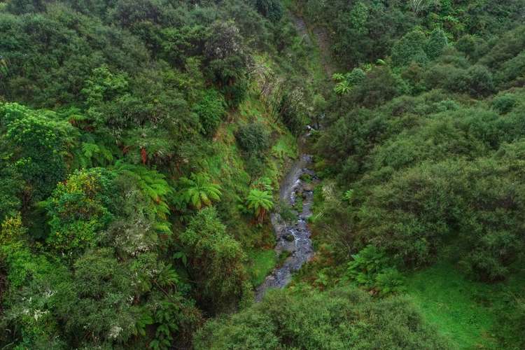 426 Pukeatua Road Ruapehu-King Country Surrounds_19