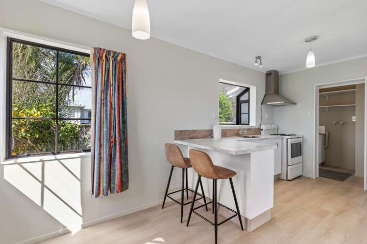 12b Douglas Street Levin_5