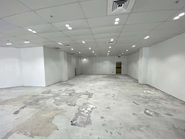 129 Hurstmere Road Takapuna (Takapuna Central)_1