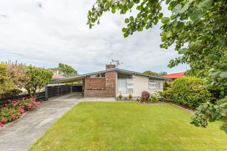 64 Langley Avenue Milson_6