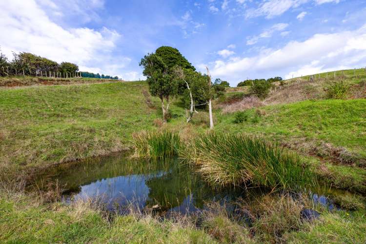 62 Cornes Road Raglan_17