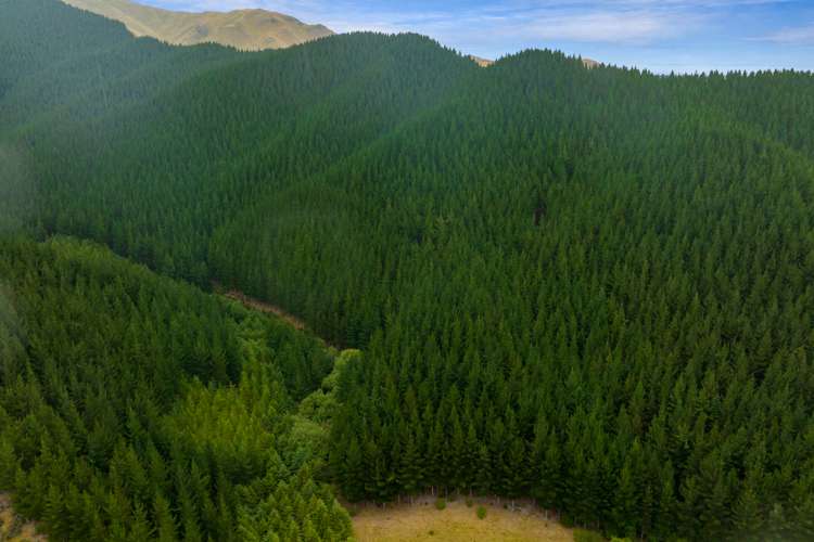 State Highway 63 Renwick_5