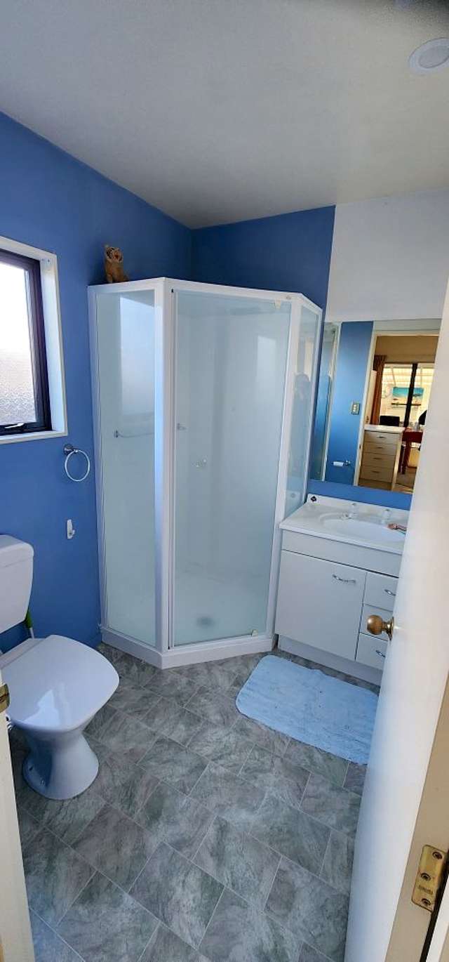 56 Manurere Street Hei Hei_4