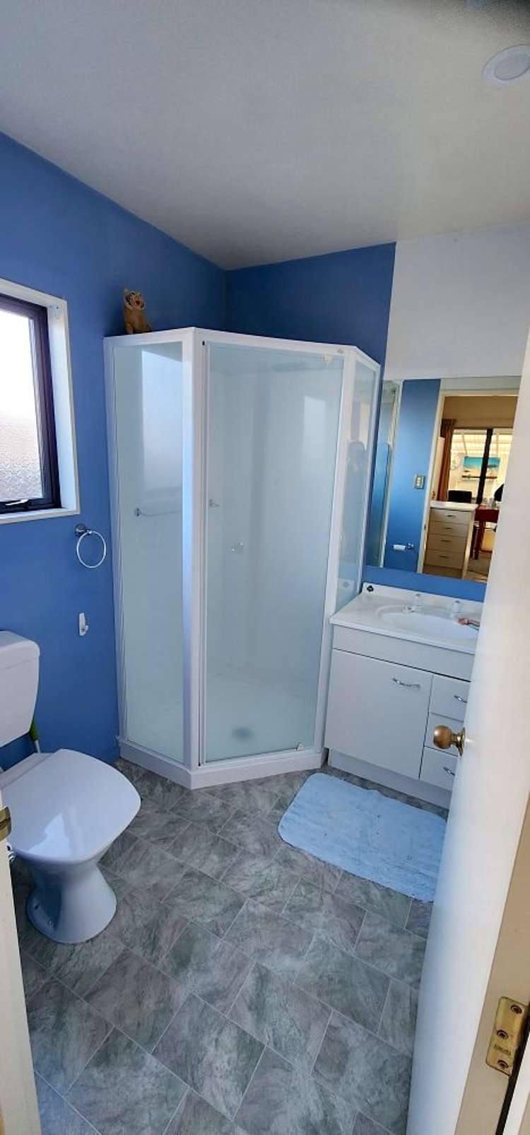 56 Manurere Street Hei Hei_4