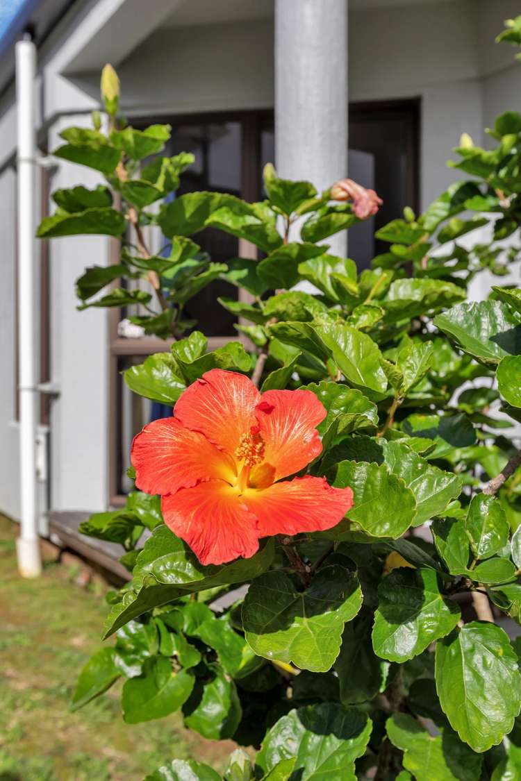 25 Raumati Crescent Onerahi_17