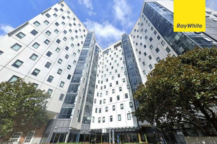 11C/8 Mount Street_0