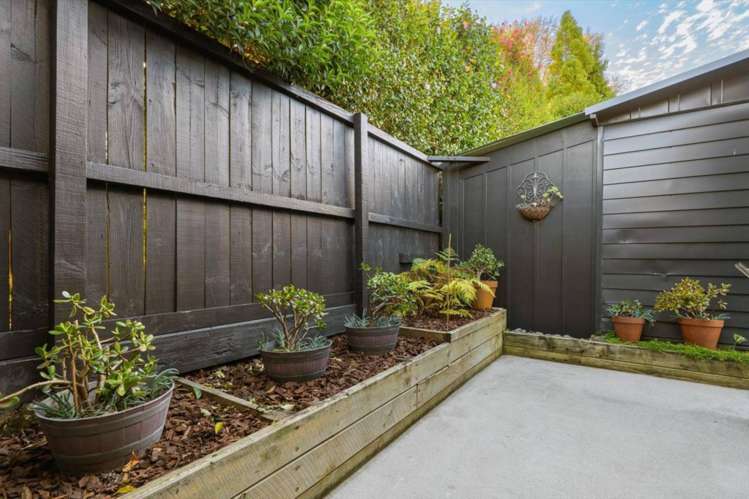 111 Boucher Avenue Te Puke_13