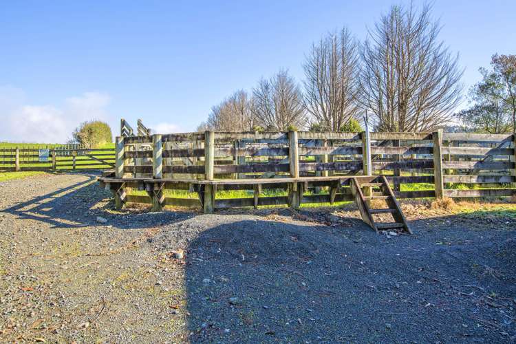 1338 Highway 22 Pukekawa_1