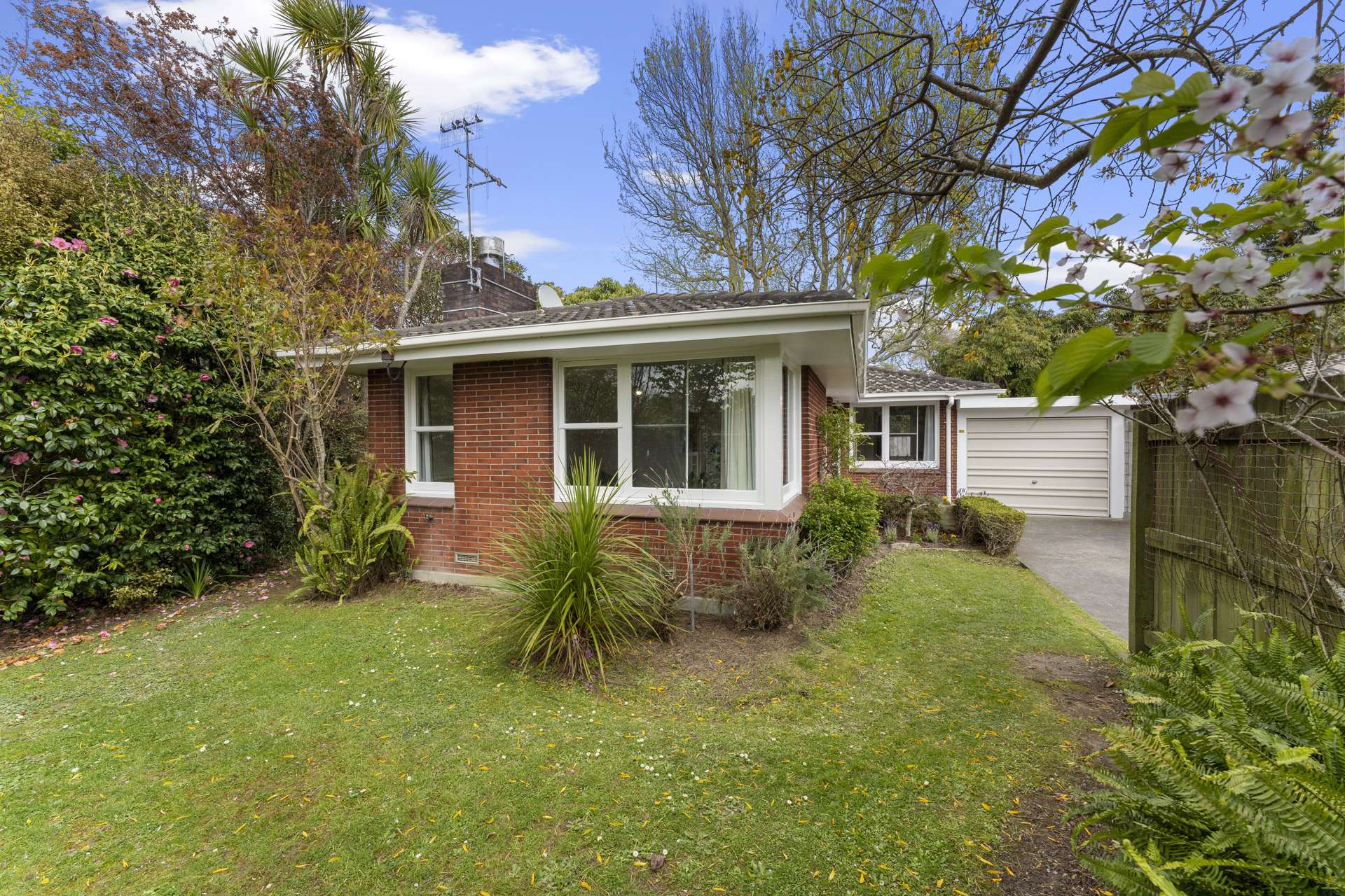 252a Victoria Avenue Hokowhitu_0