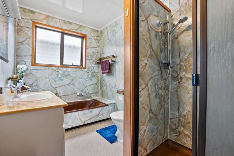 3 Elizabeth Street Mount Eden_8