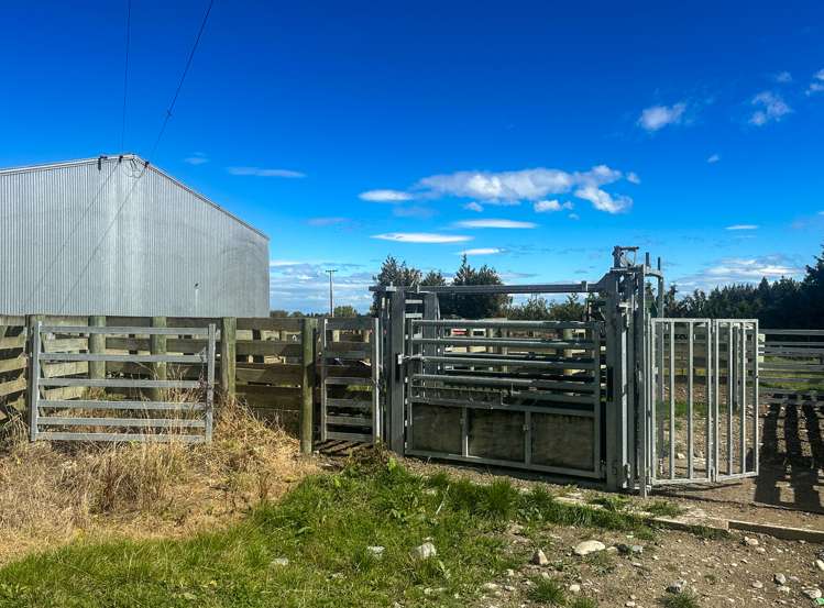 465 Moncurs Road West Otago Surrounds_5