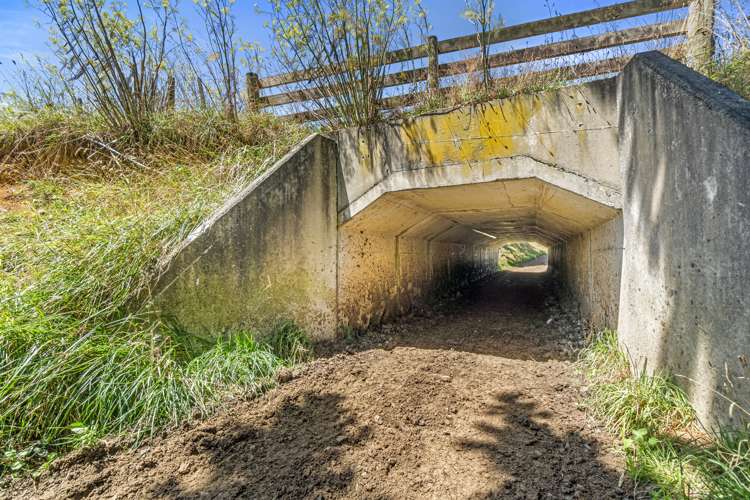 458 Rotowaro Road Huntly_49