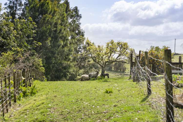 416 Kaitemako Road Welcome Bay_10