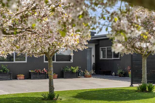 58 Redoubt Road Cambridge_4