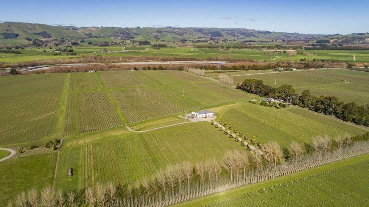 Wairapapa wineries - 143 Dakins Rd 02