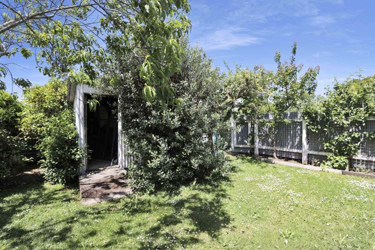 149 Thomson Street Tinwald_41