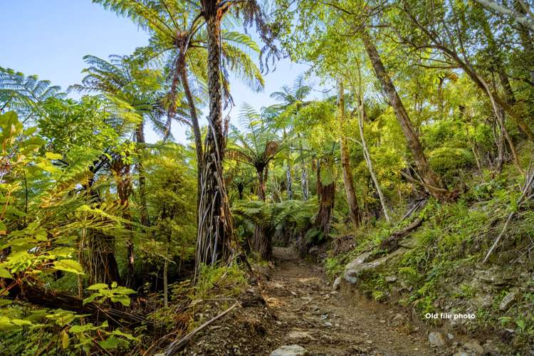 Lot 33 Fence Bay Onahau Bay_9