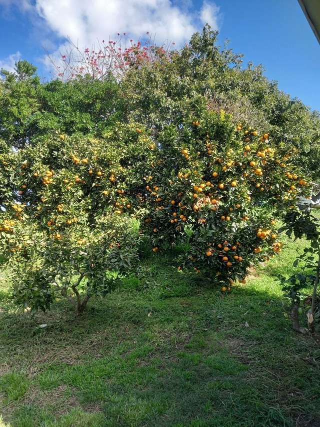 Address withheld Maketu_4