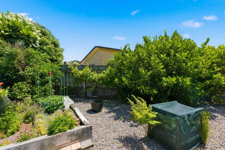 10 Barrett Drive Waikanae Beach_21