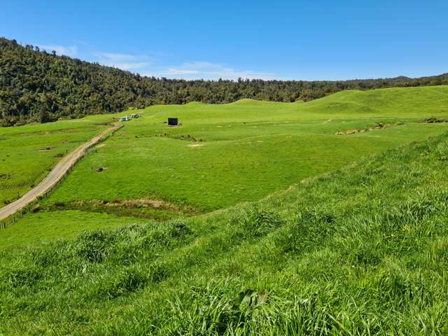 Big Dairy Farm - Big Opportunity