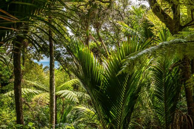 61 Trig Hill Road Onetangi_3