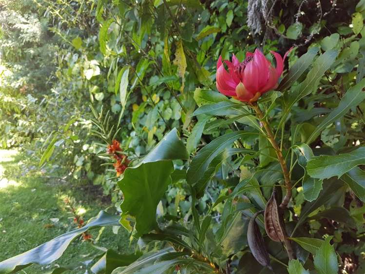 135 Akerbloms Road Kenepuru Sound_21