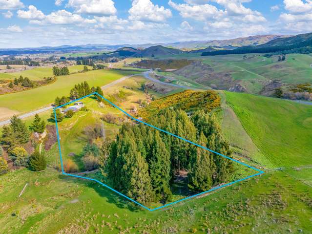 59 Hawkswood Road Cheviot_3