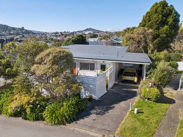 1/3 Ridd Crescent Karori_1